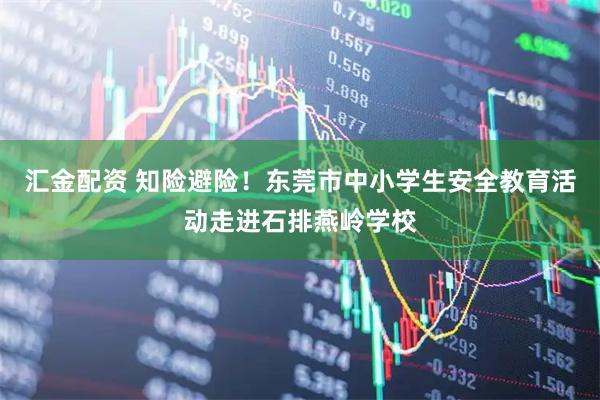 汇金配资 知险避险！东莞市中小学生安全教育活动走进石排燕岭学校