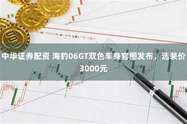 中华证券配资 海豹06GT双色车身官图发布，选装价3000元