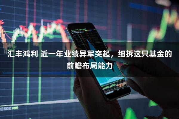 汇丰鸿利 近一年业绩异军突起，细拆这只基金的前瞻布局能力