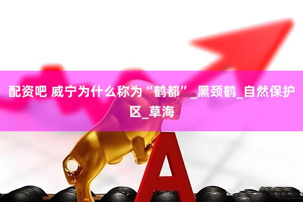 配资吧 威宁为什么称为“鹤都”_黑颈鹤_自然保护区_草海