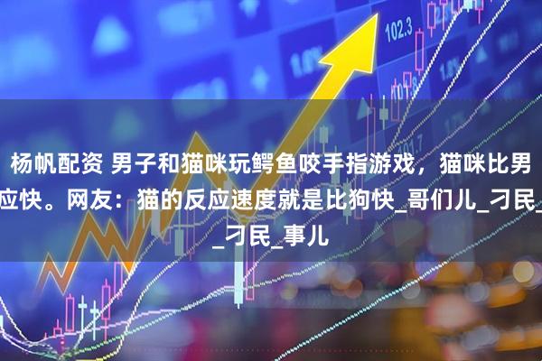 杨帆配资 男子和猫咪玩鳄鱼咬手指游戏，猫咪比男子反应快。网友：猫的反应速度就是比狗快_哥们儿_刁民_事儿