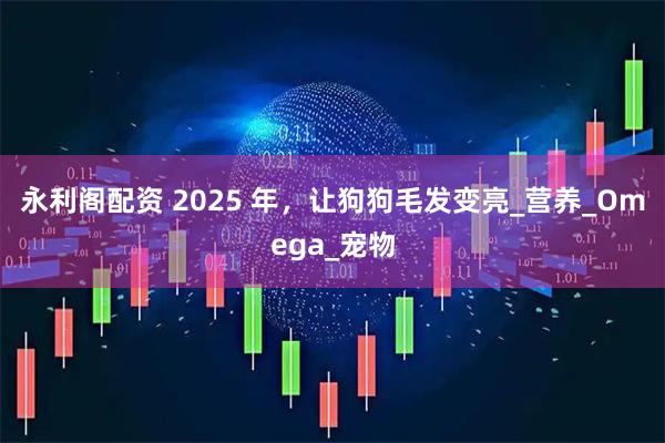 永利阁配资 2025 年，让狗狗毛发变亮_营养_Omega_宠物