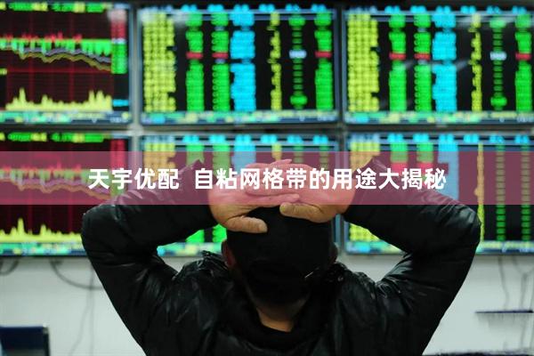 天宇优配  自粘网格带的用途大揭秘