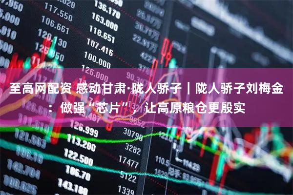 至高网配资 感动甘肃·陇人骄子｜陇人骄子刘梅金：做强“芯片”，让高原粮仓更殷实